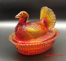 Load image into Gallery viewer, Amberina Turkey on Nest.
