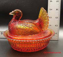 Load image into Gallery viewer, Amberina Turkey on Nest.
