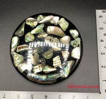 Load image into Gallery viewer, Abalone Shell Trivet
